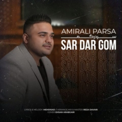 دانلود آهنگ امیرعلی پارسا سردرگم